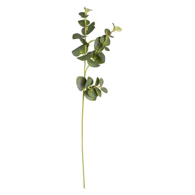 Eukalyptuszweig - ca. 64 cm