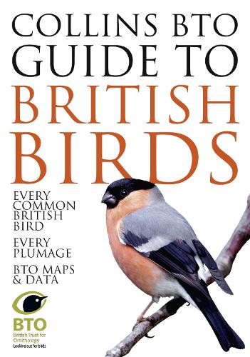 Collins BTO Guide to British Birds (Paperback)