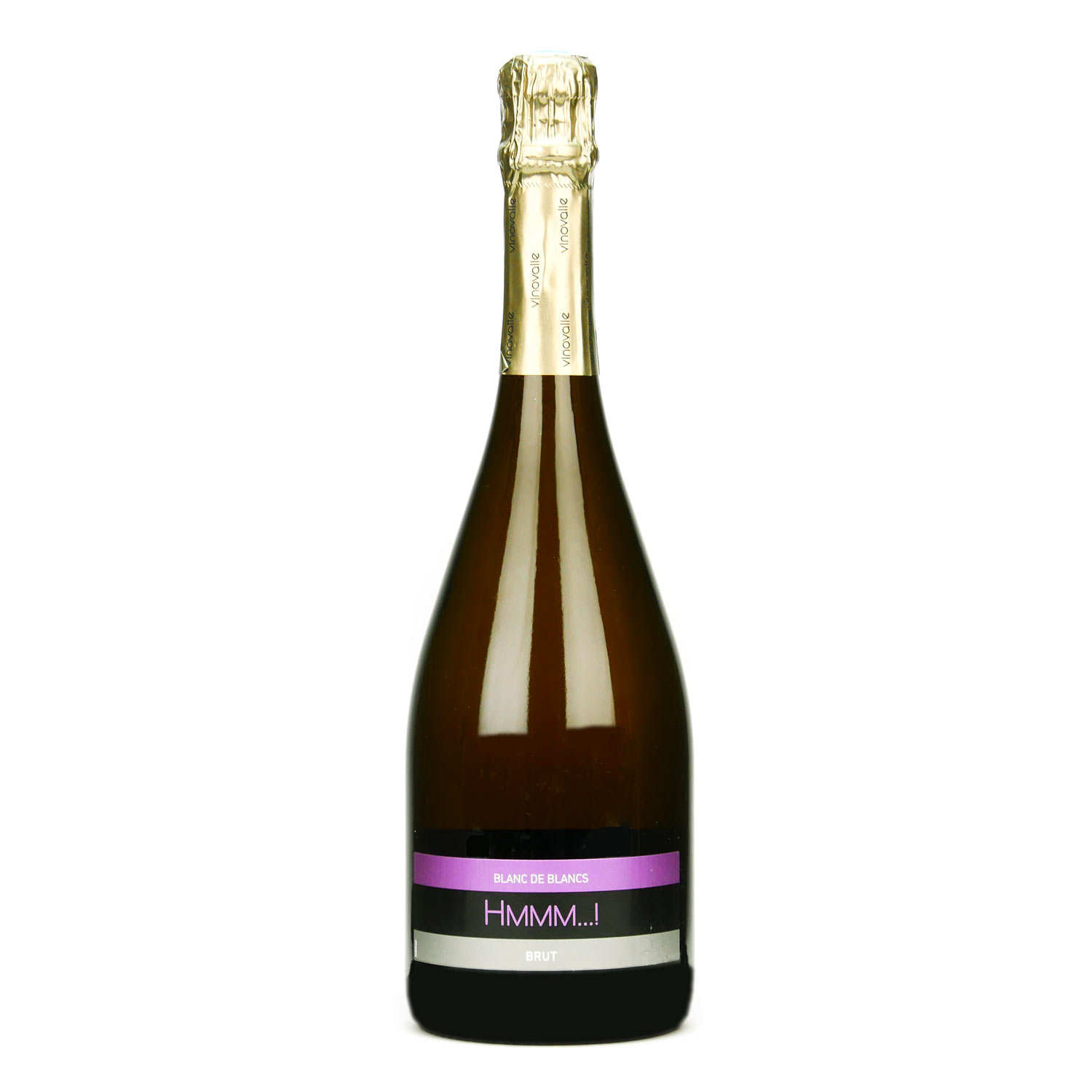 Hmmm... ! Gaillac blanc de blancs brut