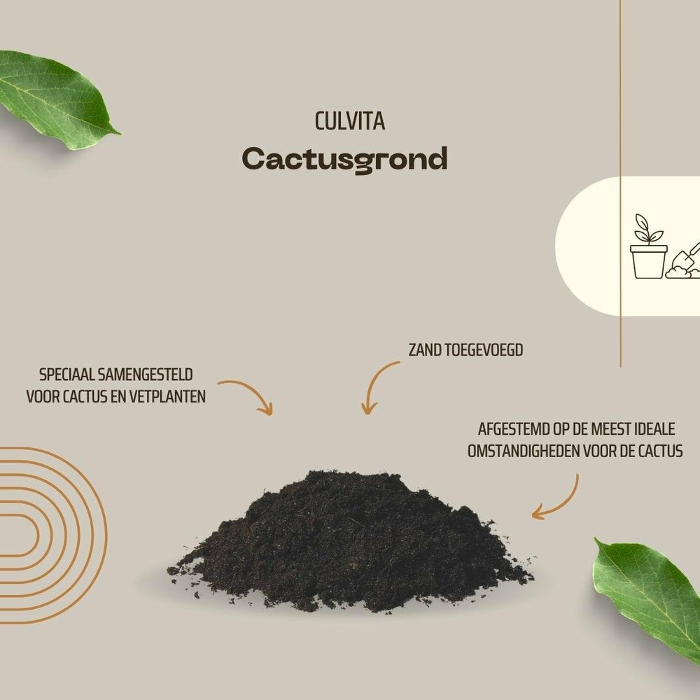 Terreau pour cactus - 5l