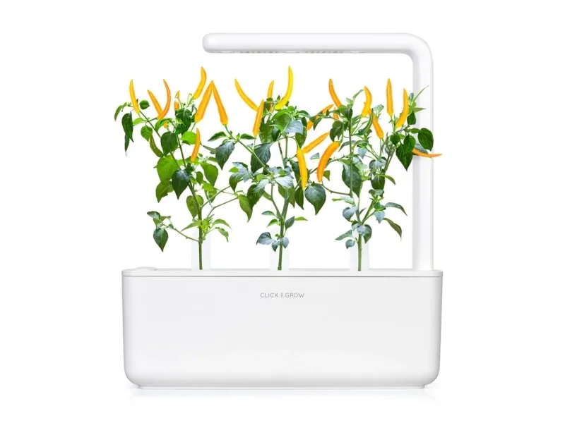 Click & Grow SGR60x3, Spiselig plante, Chili peber, Genopfyldning, Hurtig producent (3-5 uger), 14 - 21 dage, 3 måned(er)