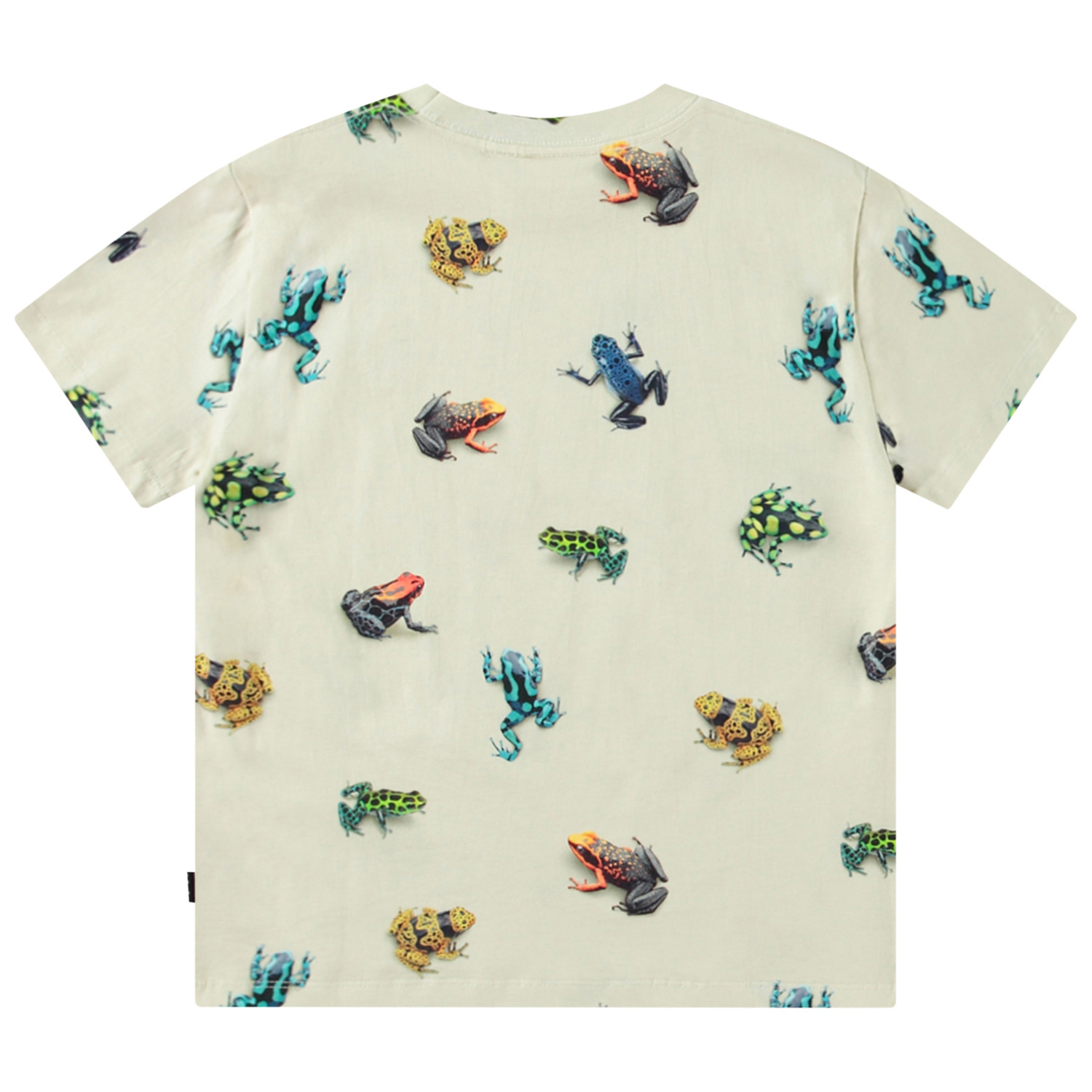 Roxo - Vibrant Frogs