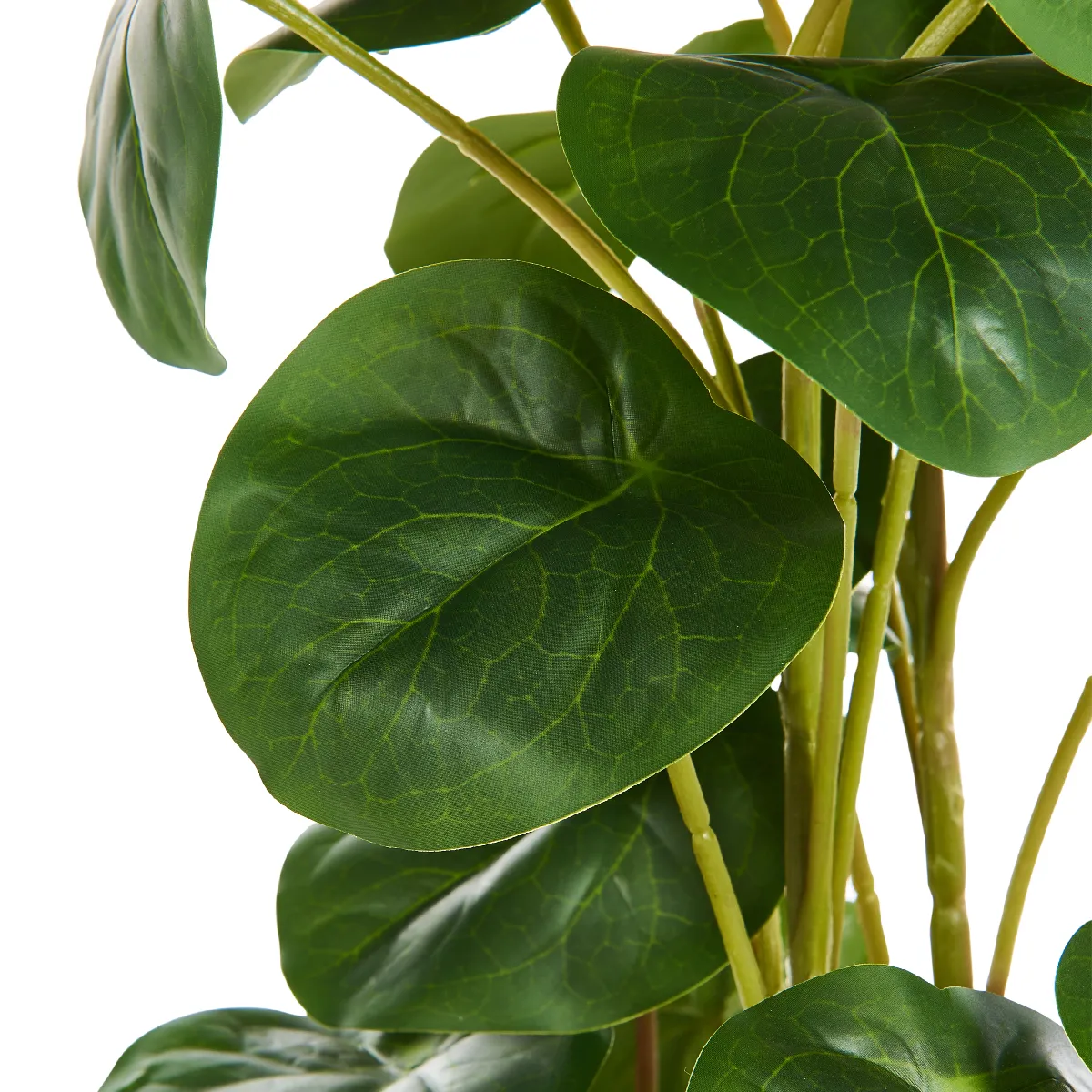 Beliani Plante Artificielle KIBETI 55 cm