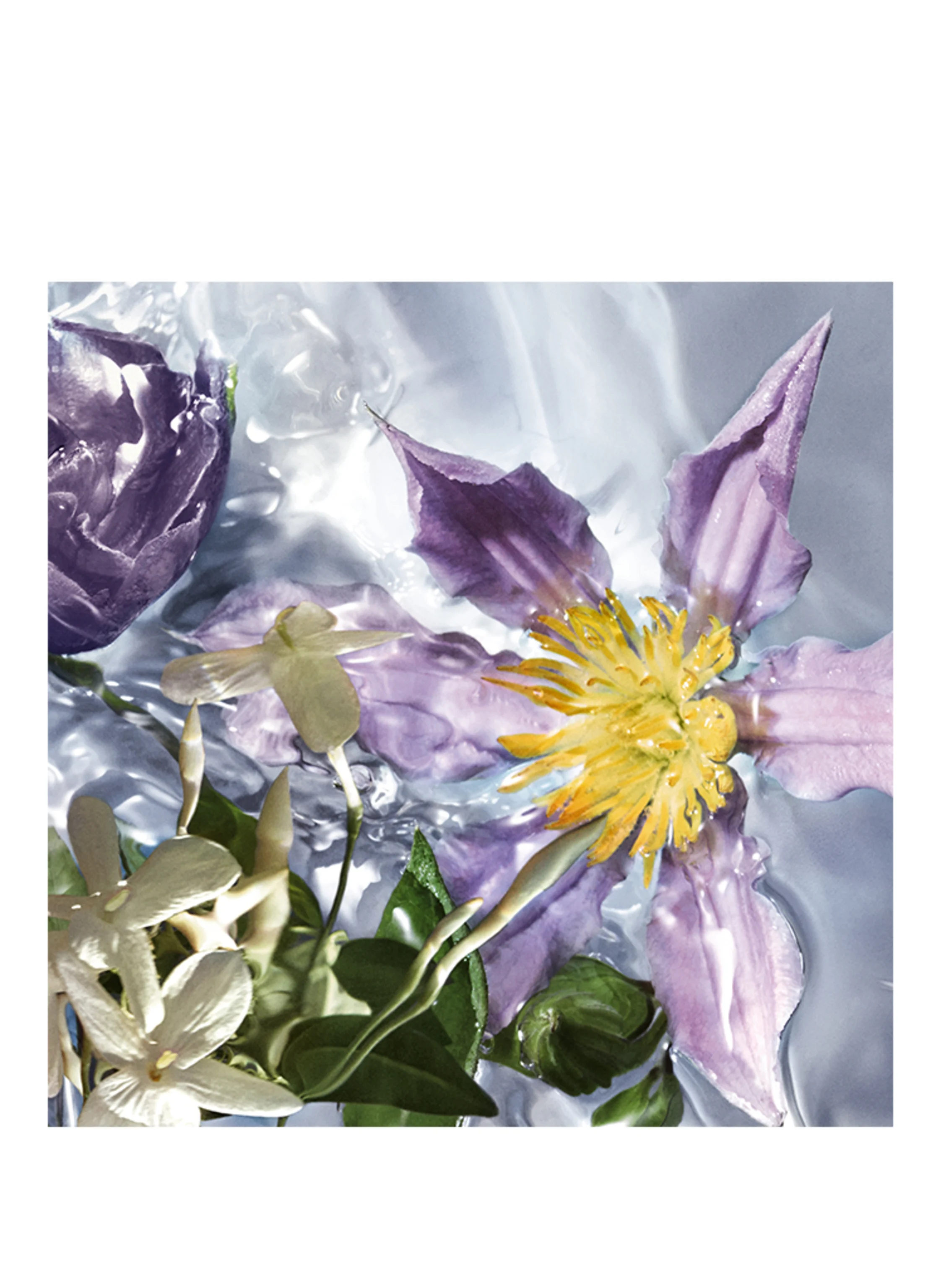 GUERLAIN AQUA ALLEGORIA FLORA SALVAGGIA