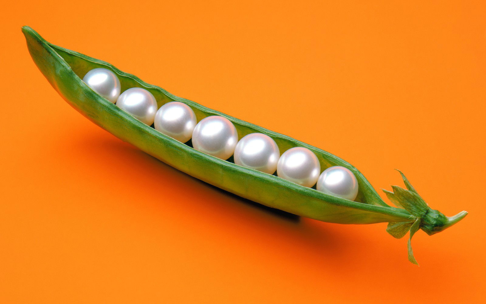 Pearls in a Pod by James Wojcik - Limited Edition. Edition of: 150. Signed.