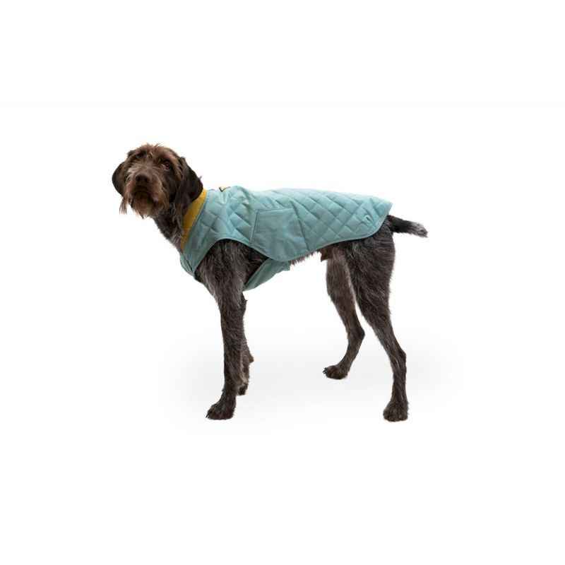 Stumptown Jacket - Veste pour chien