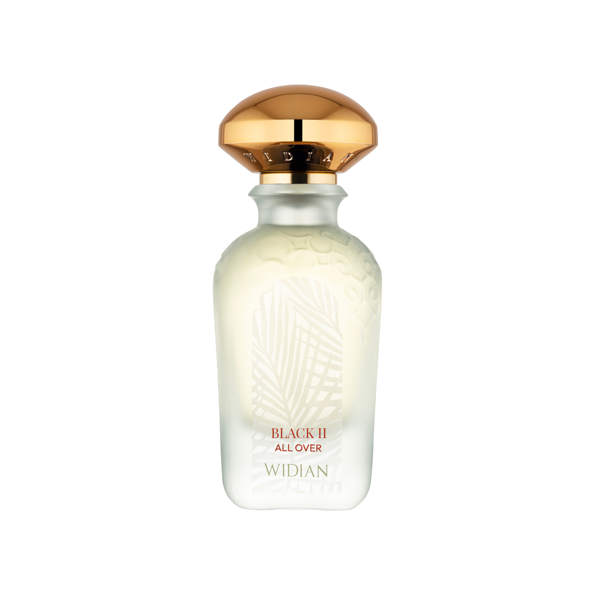 Black II All Over Hair Perfume 50ml