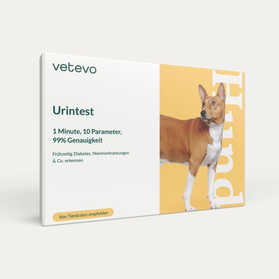 Urintest Hund