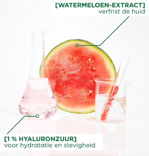 Garnier Skin Active Watermeloen Hyaluron Masker 1ST