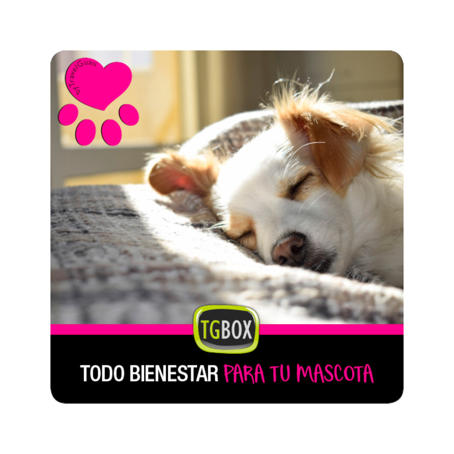 Tudo para o bem-estar do seu animal de estimação.