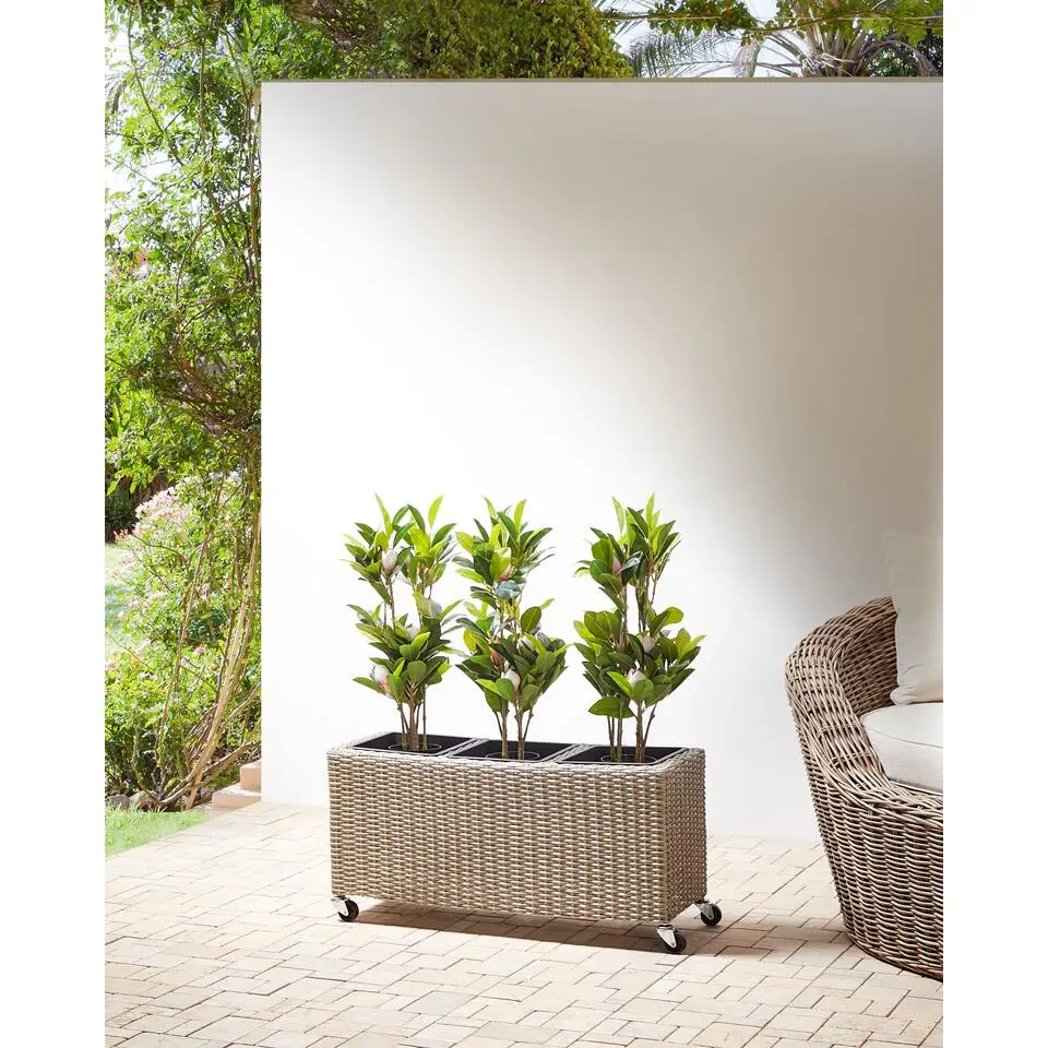 BELLIS - Plantenbak - Bruin - PE rotan