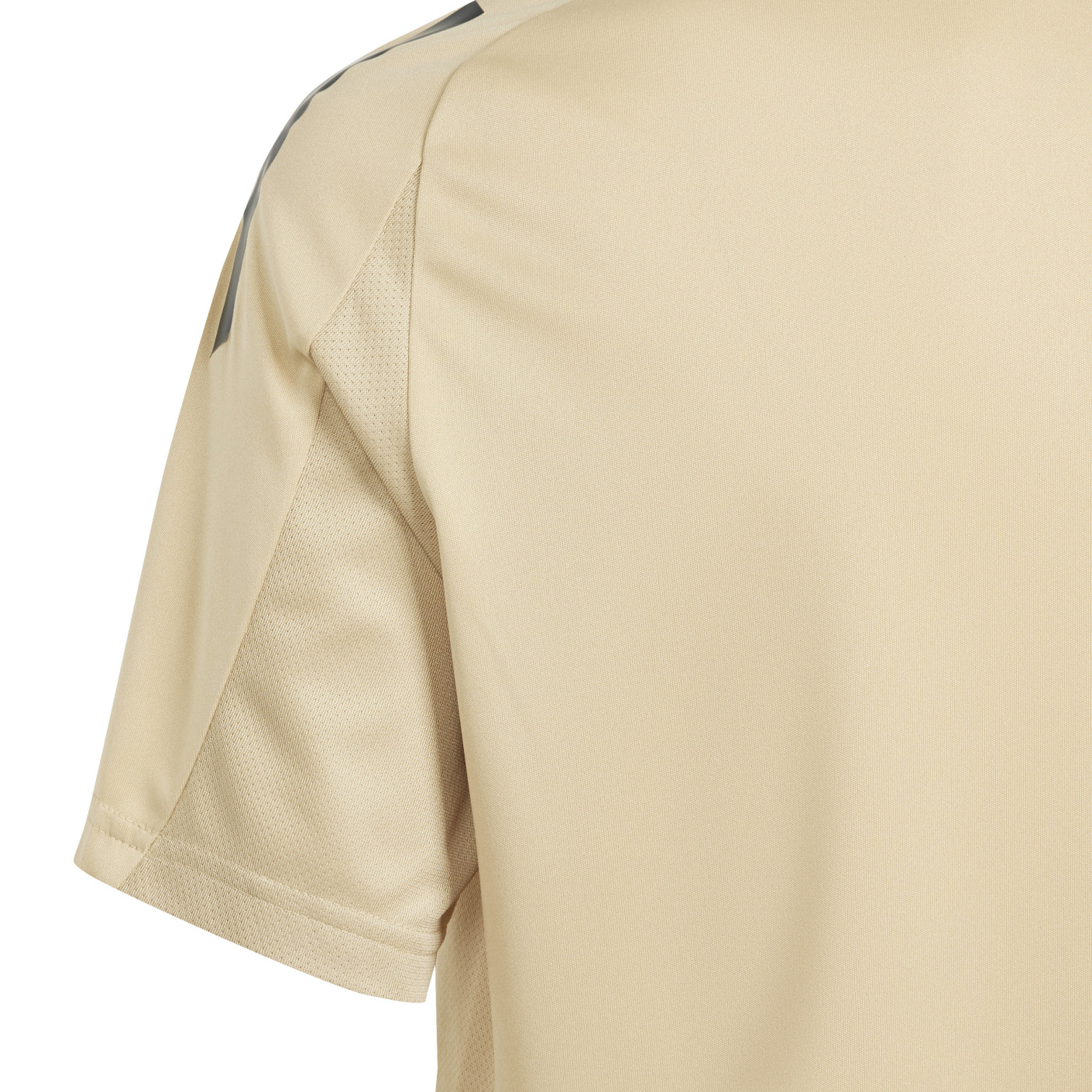 Adidas Argentinië Trainingsshirt 2024-2026 Kids Beige Lichtblauw Donkergrijs