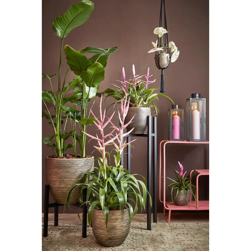 Mica Decorations Ascot Plantenstandaard L45,5 x B45,5 x H40 cm Zwart