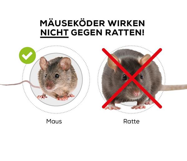 PROTECT HOME Mäuse Köderbox, 1 Stück