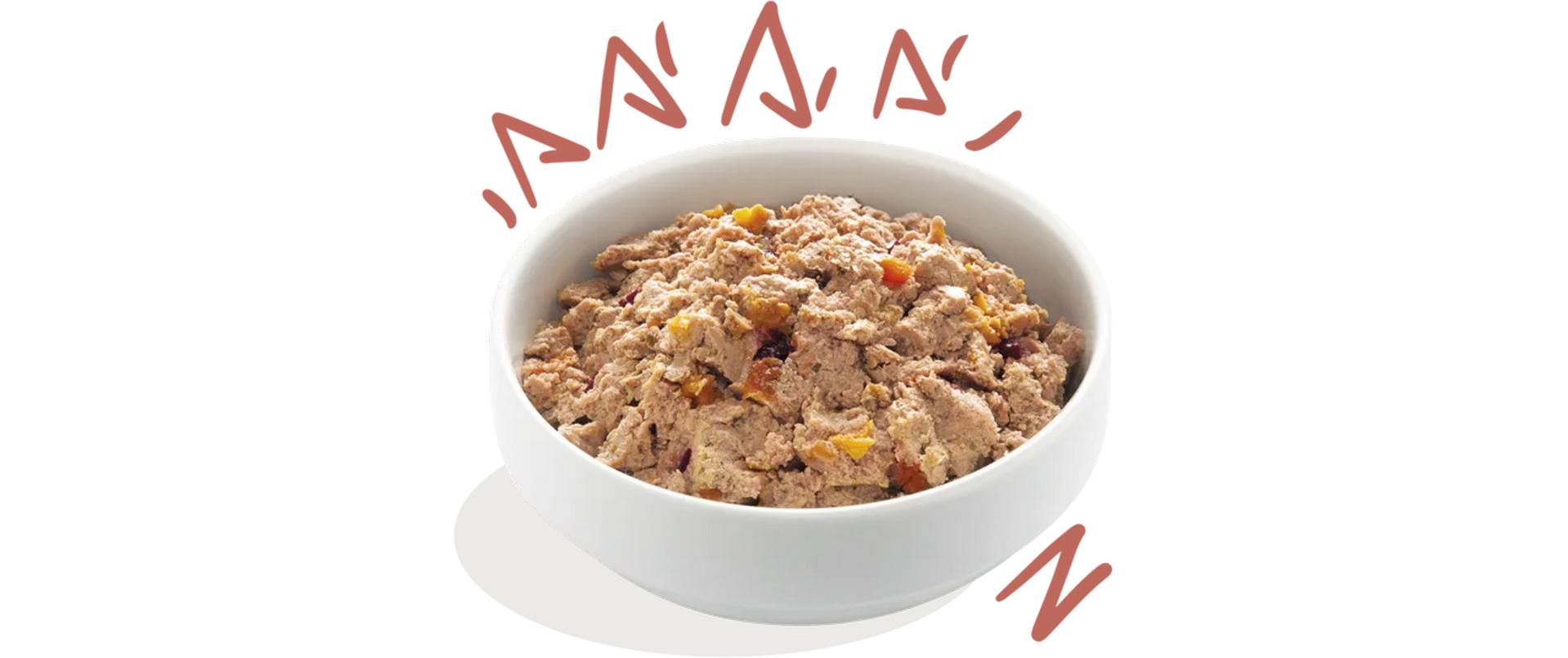 Nassfutter Senior Huhn + Lachs, 11 x 150 gAlleinfuttermittel für ältere Hunde