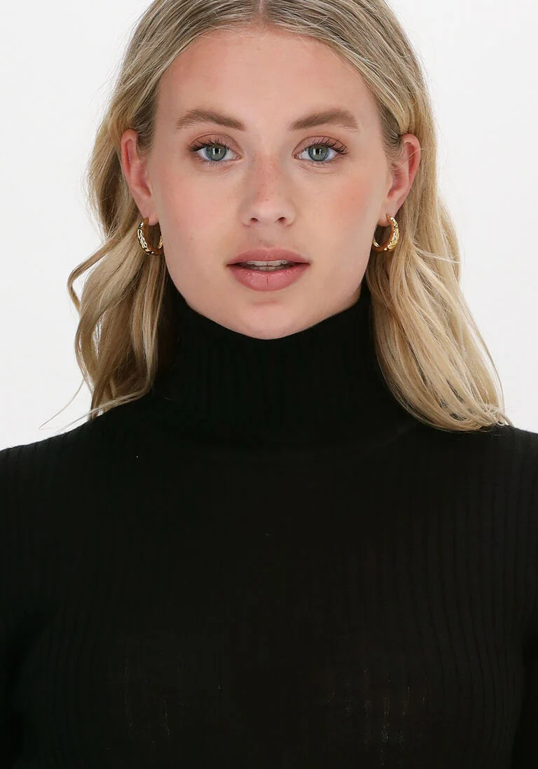 SELECTED FEMME zwarte selected femme trui slfcostina ls knit rib rollnec