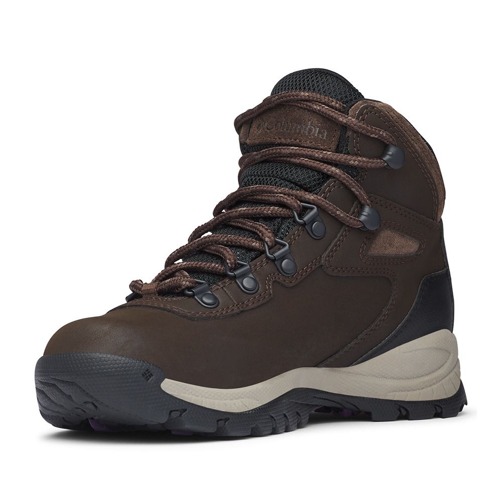 Columbia NEWTON RIDGE PLUS - Chaussures randonné Femme brown
