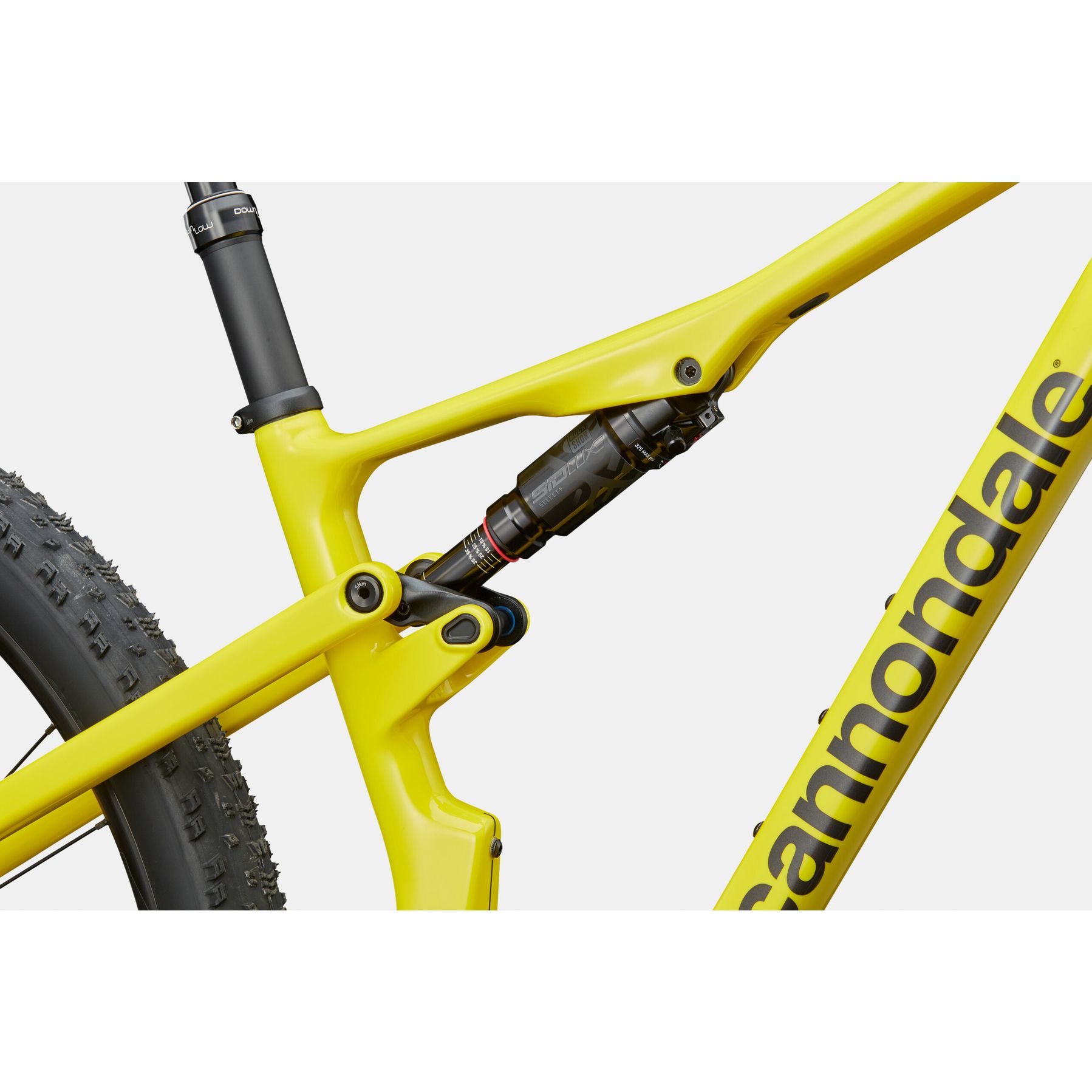 Cannondale Scalpel Carbon 4 2025