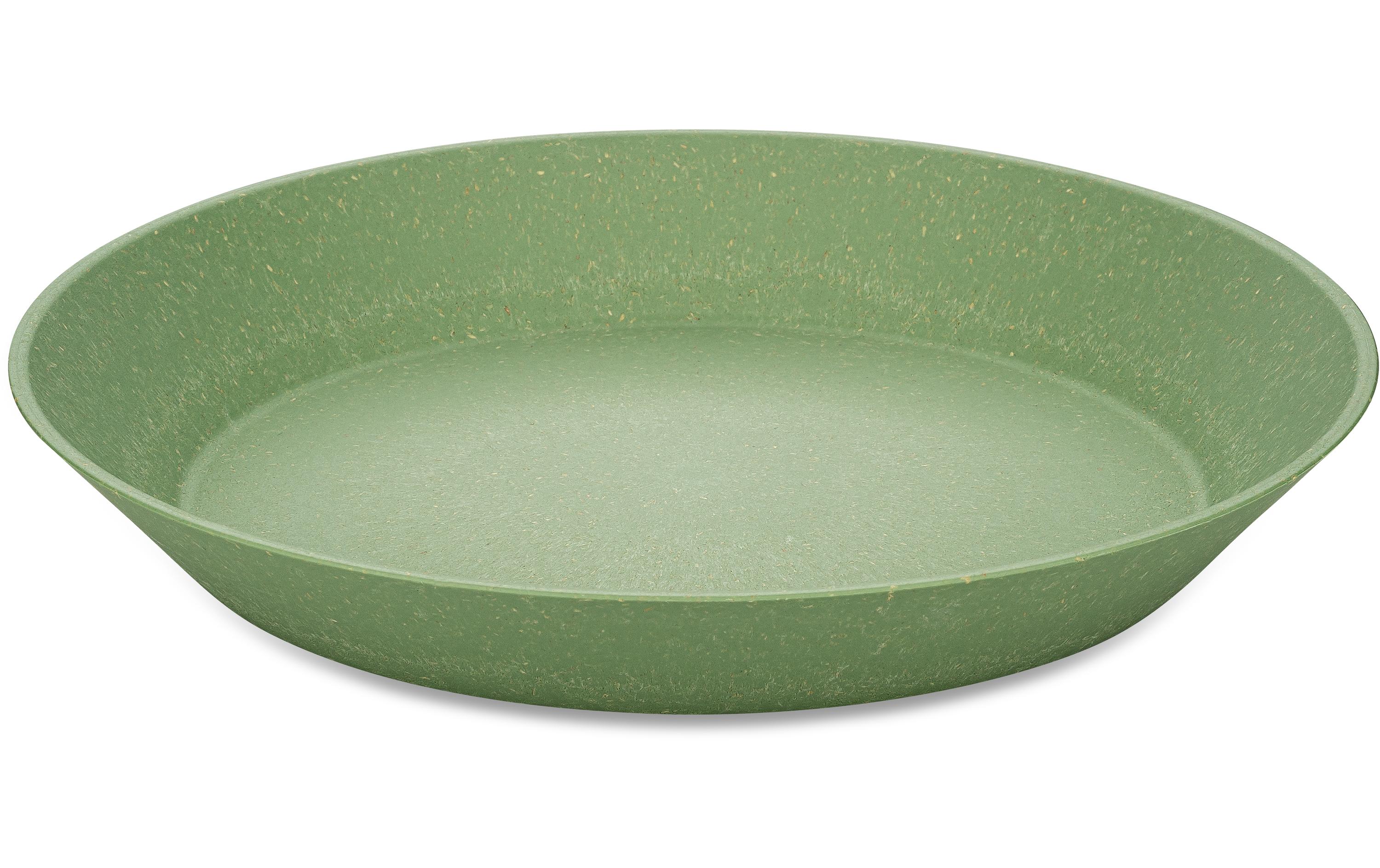 Suppen- & Pastateller Connect 24 cm, 4 Stück, GrünTeigwarenteller Set