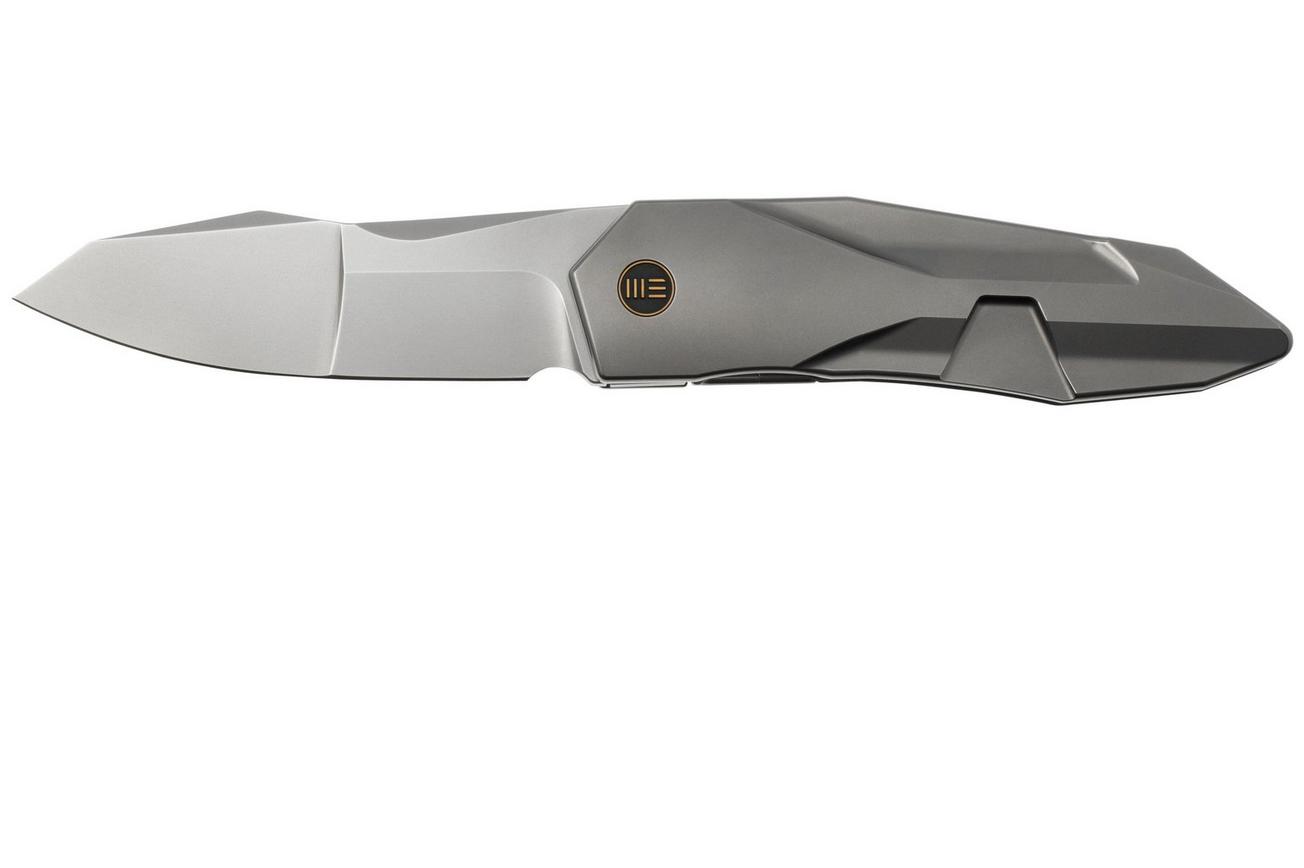 WE Knife Solid WE22028-2, CPM-20CV Bead Blasted Titanium, zakmes