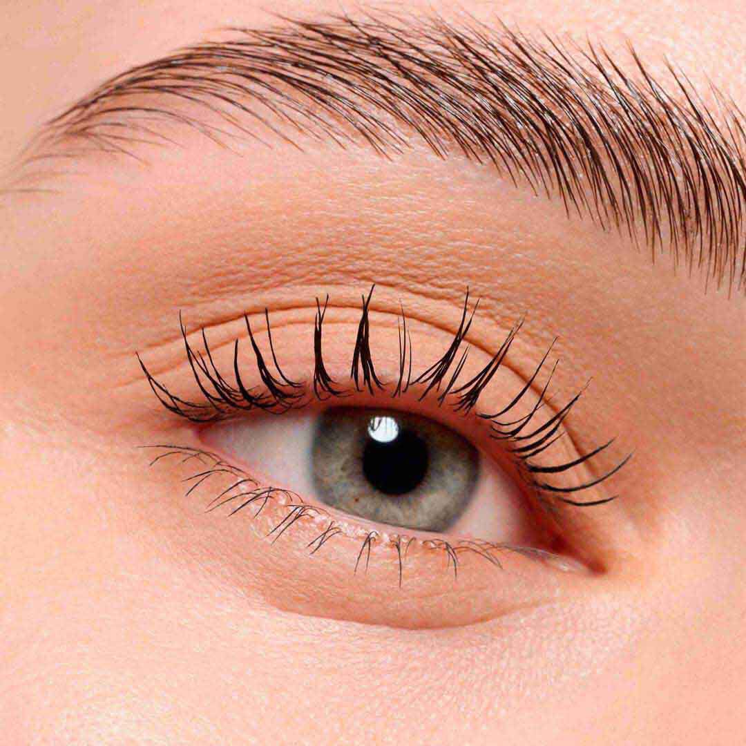 Sombra de Olhos Mono - Mate