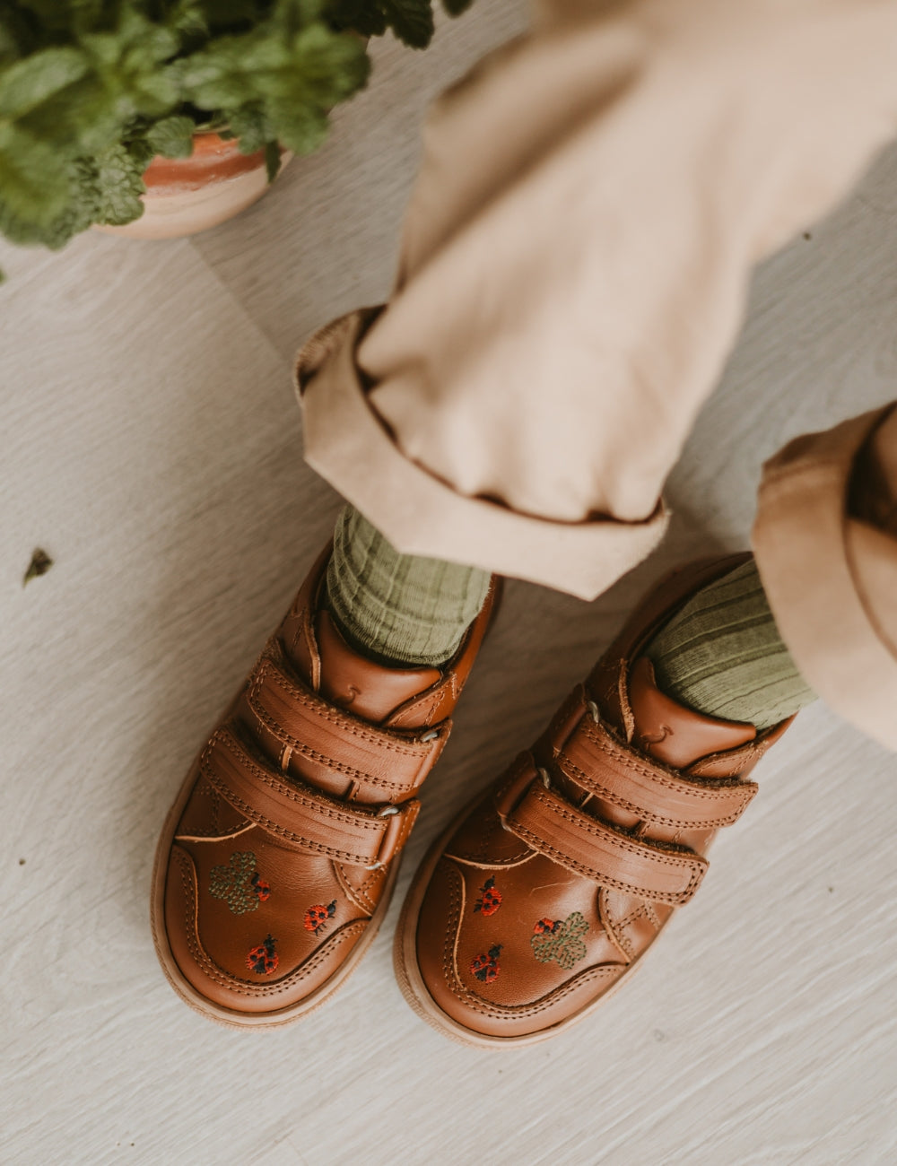 Ladybug Low Sneaker - Cognac