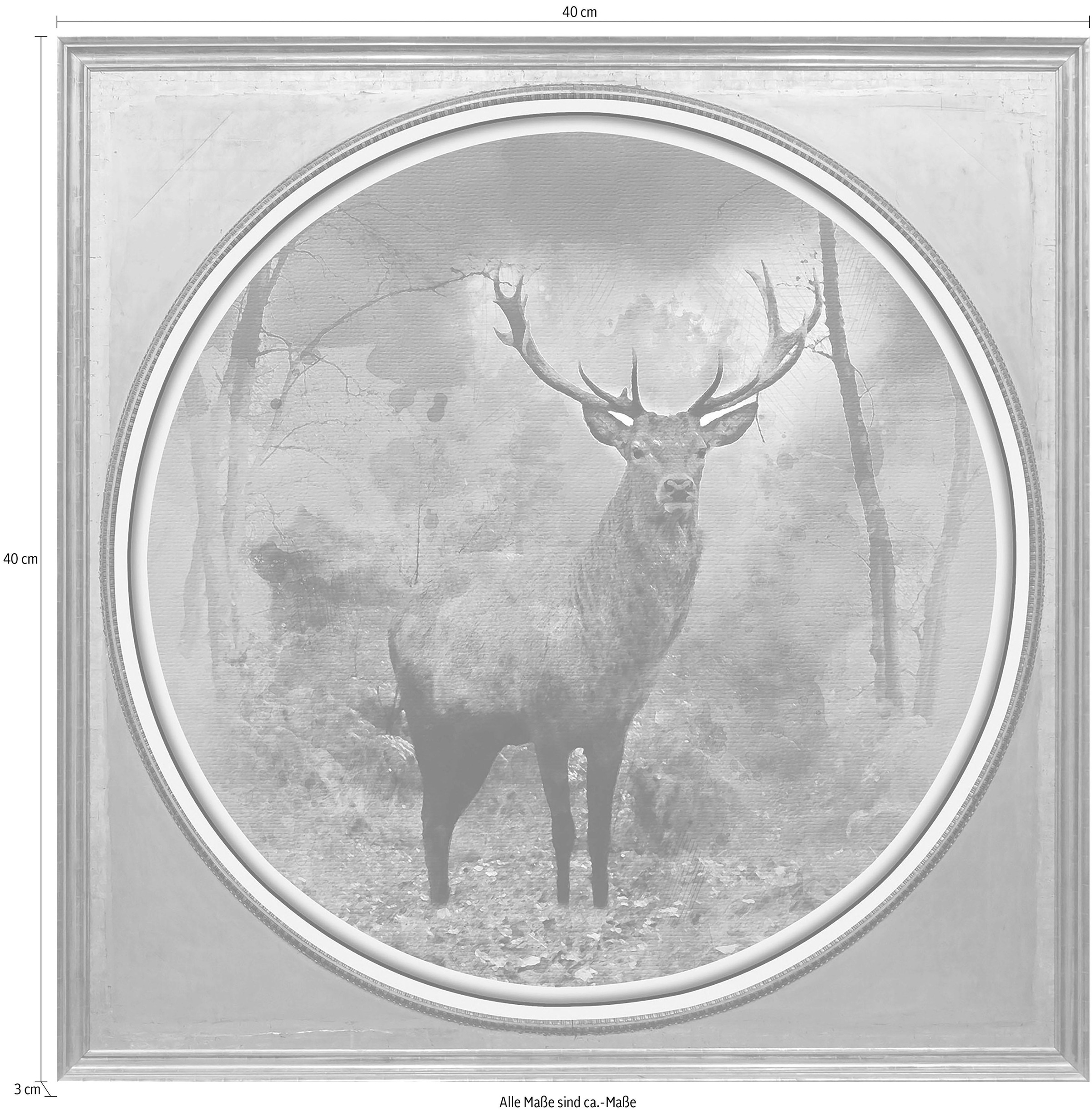 queence Acrylglasbild »Hirsch« Gemälde | Hirsch | Hirschbilder | Hirsche | Kunst | Tiere | Wald | Waldbilder | Wildtiere Fine Art-Print in Galeriequalität