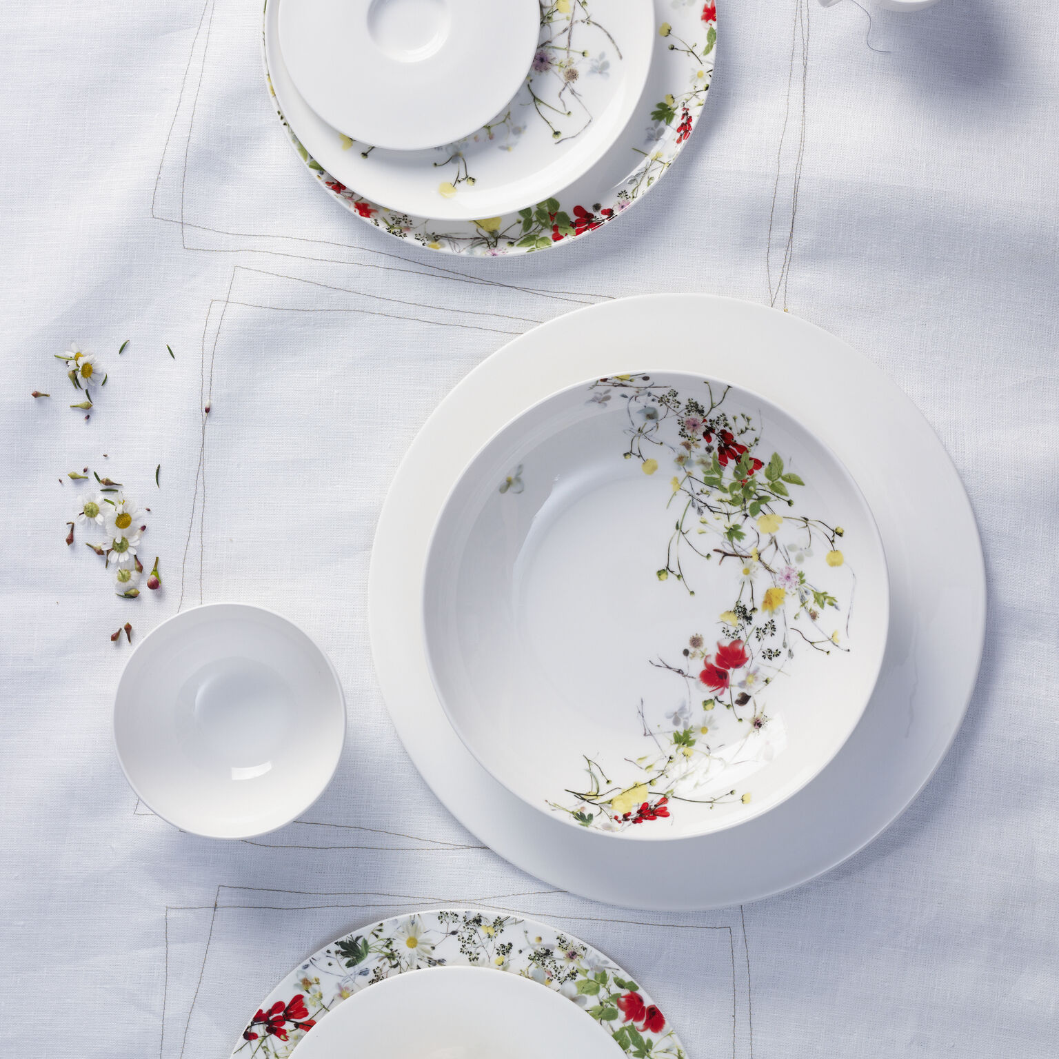 Brillance Bone China Fleurs Sauvages Frühstücksteller 21 cm