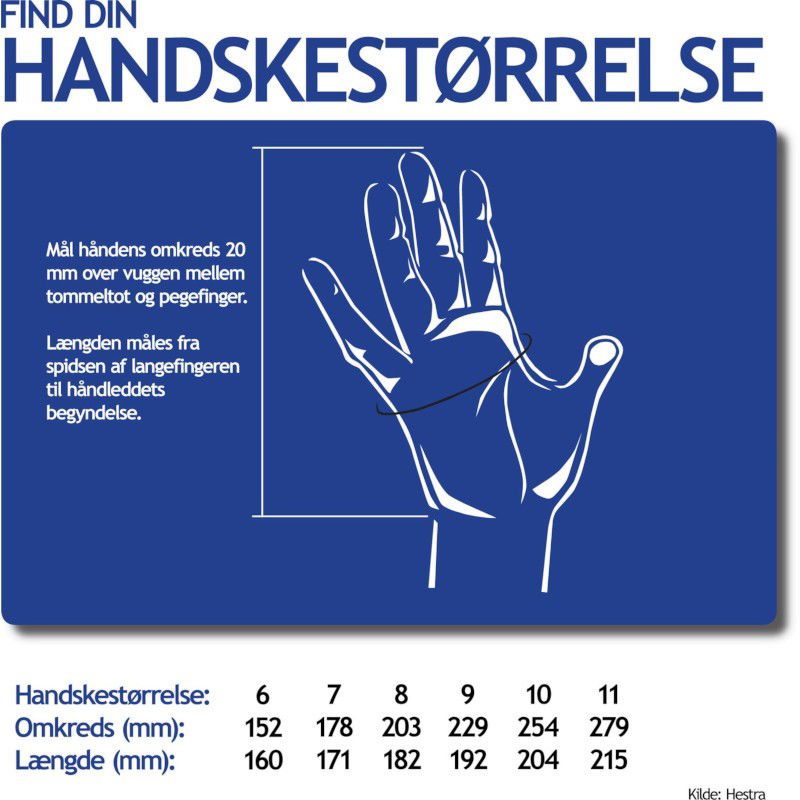 Hestra Touch Point Active linerhandsker