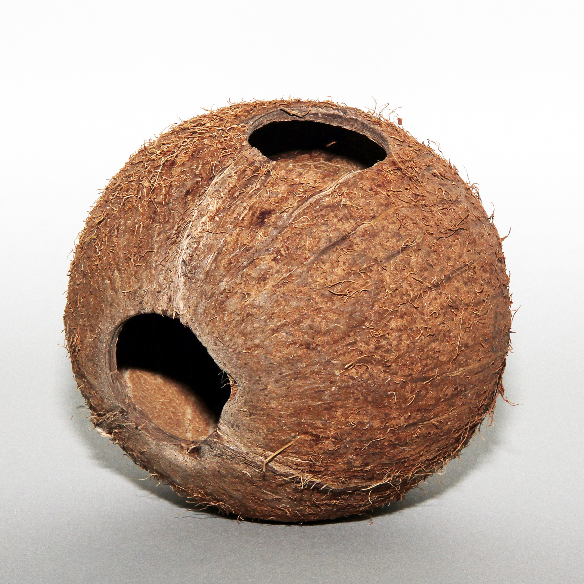 JBL Cocos Cava 1/1 Large