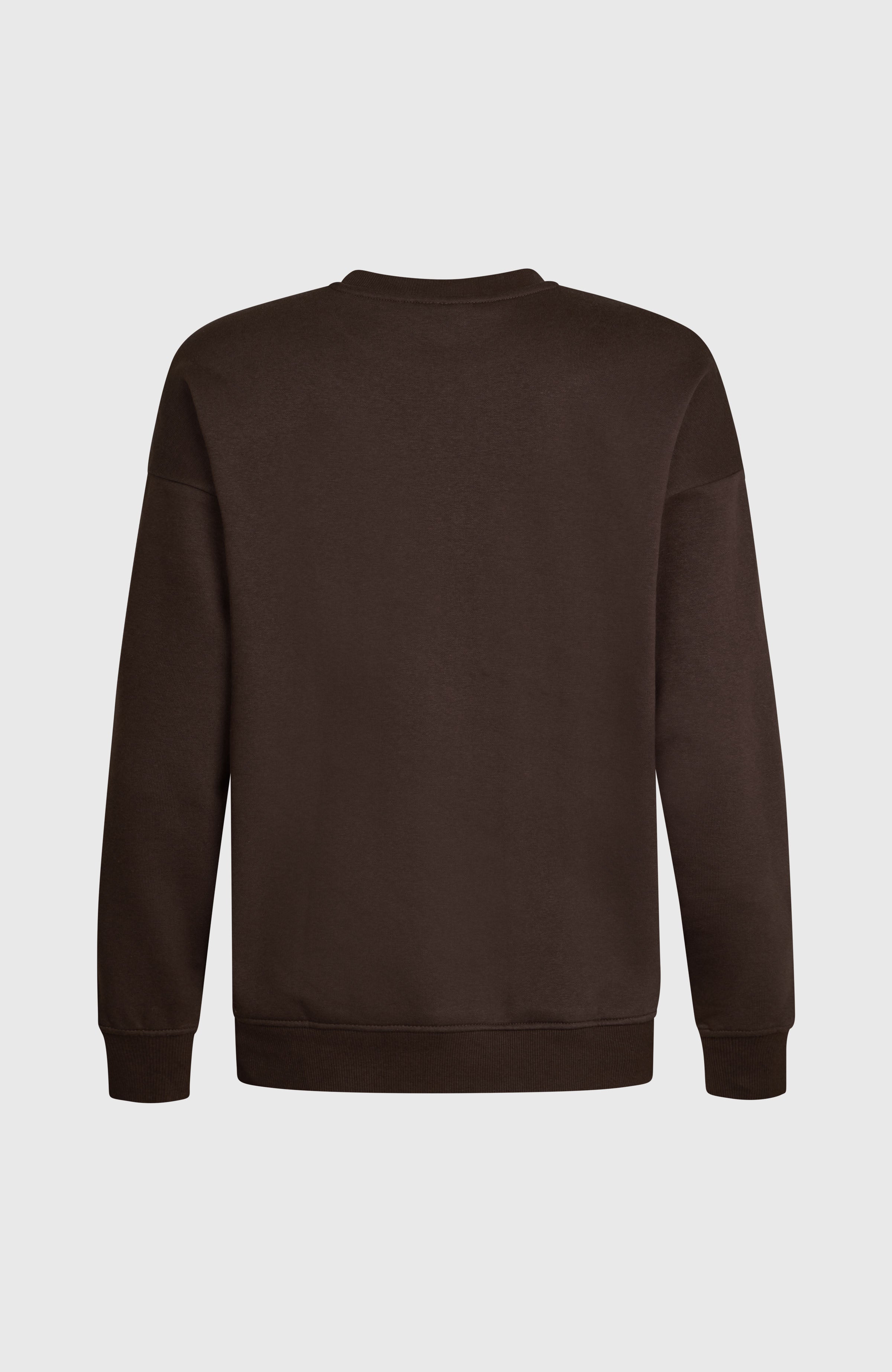Future Surf Crew sweater