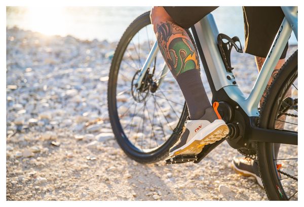 Chaussures VTT Northwave Freeland Gris Foncé/Beige