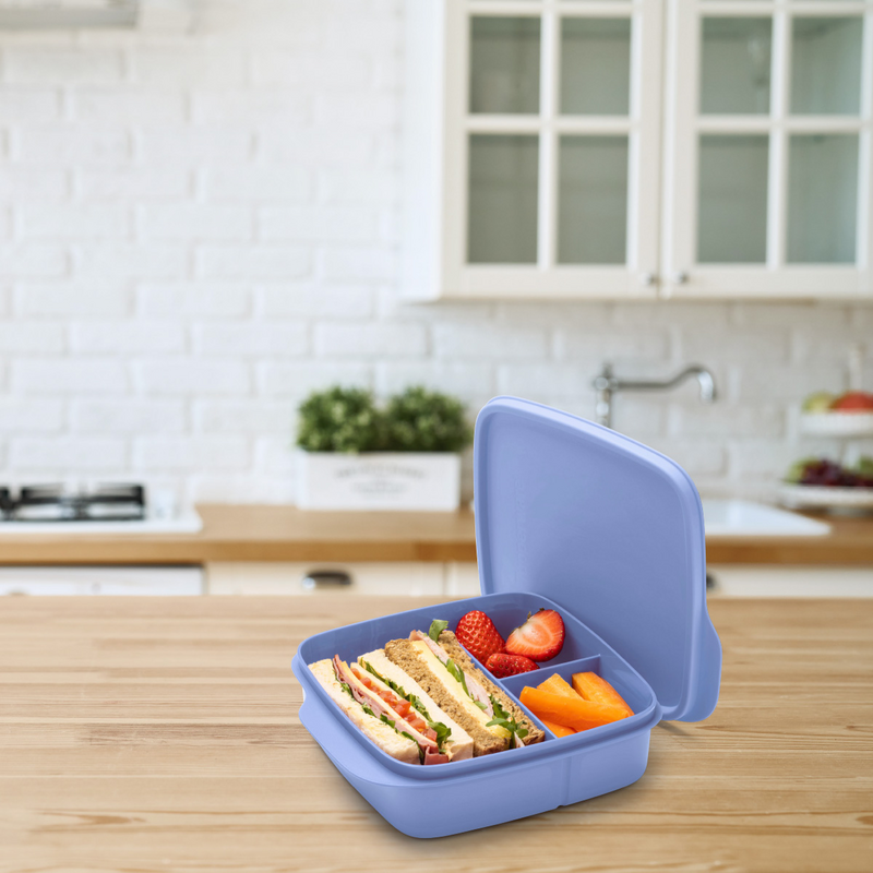 Eco+ Pausen-Box 550 ml Dein cleverer Begleiter für den Pausensnack
