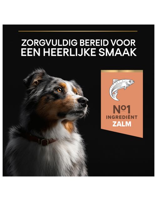 Pro Plan Dog Adult Medium Breed Sensitive Zalm - Hondenvoer