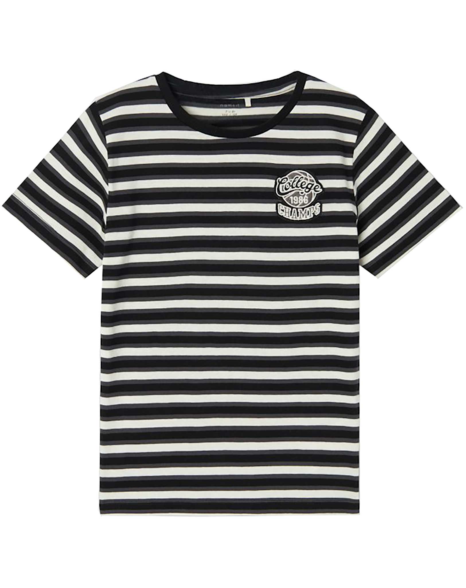 T-Shirt NKMDALOVAN COLLEGE CHAMPS gestreift in black