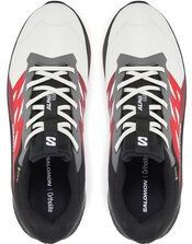 Salomon - Alphaglide - Trailschoenen - Zwart - Gore-Tex