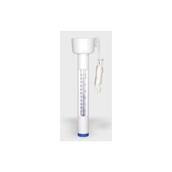 Produtos Qp Termometro Flutuante Piscina - 500640