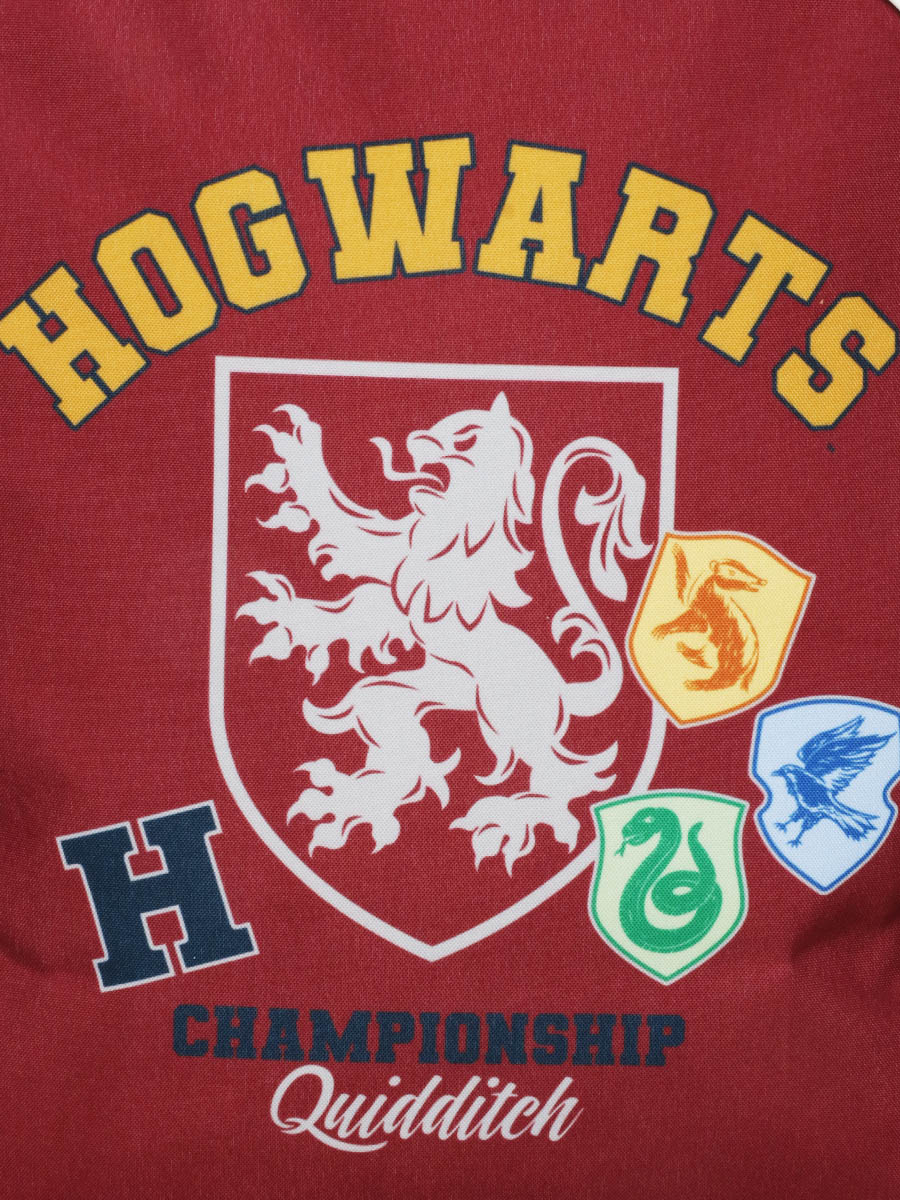 Valise Harry Potter Championship 41 cm