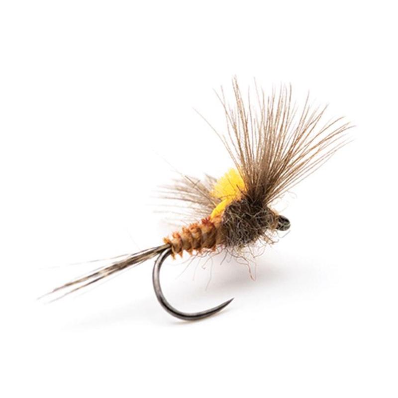 Mouche Devaux Emergente Jbe06
