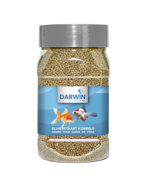 Darwin Sluierstaart Korrels - Vissenvoer