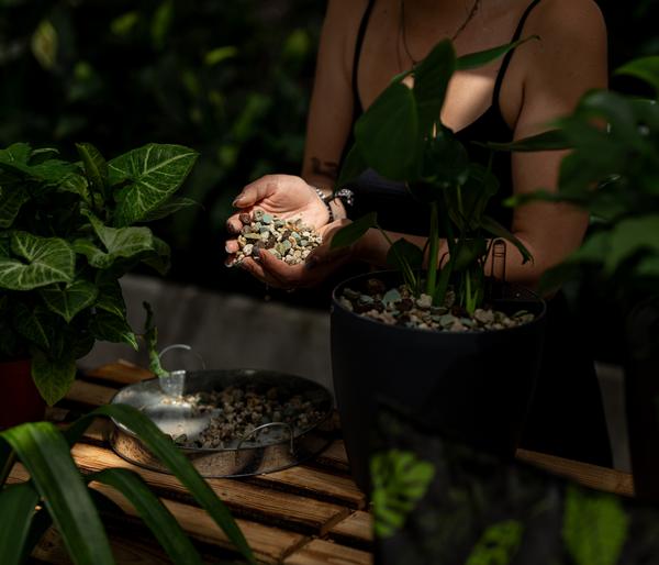 Floragard Green Jungle Mix