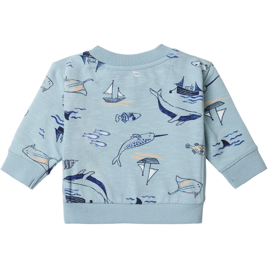 Noppies Pullover Bergen Arona