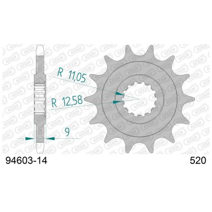 Kit chaine AFAM 520 Type Acier origine