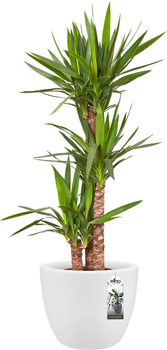 Elho bloempot Pure wit D 39 H 30,5 cm