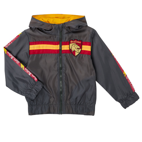 TEAM HEROES  - BLOUSON HARRY POTTER - Gris