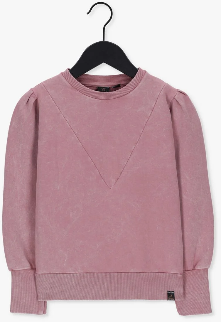 INDIAN BLUE JEANS roze indian blue jeans trui crewneck v shape