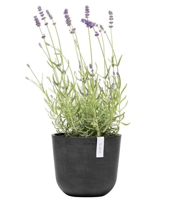 Ecopots Kunststoff-Topf Oslo Mini, rund