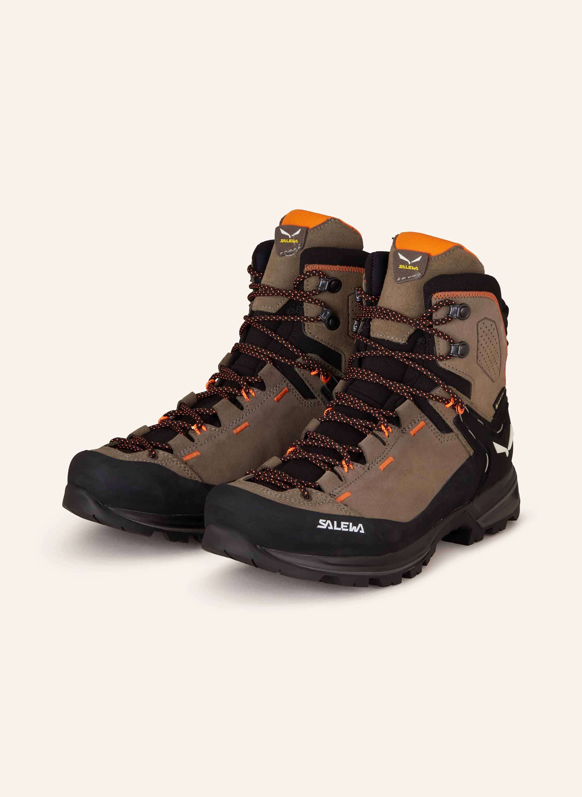 SALEWA Bergschuhe MOUNTAIN TRAINER 2 MID GTX