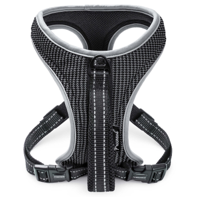 Freezack Sport Soi