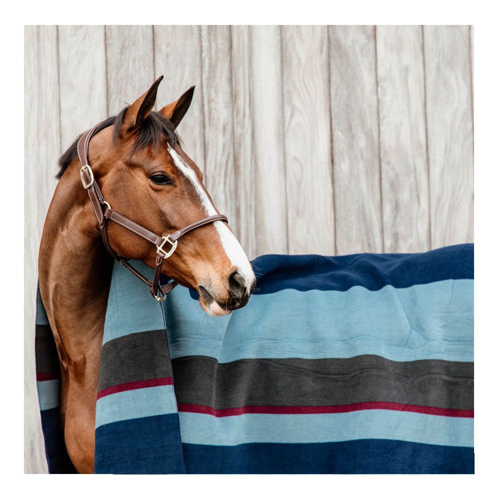 Kentucky HEAVY FLEECE 140X160 - Chemise séchante navy/grey